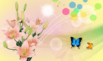 郁金香百合花化蝶彩色背景墙壁纸