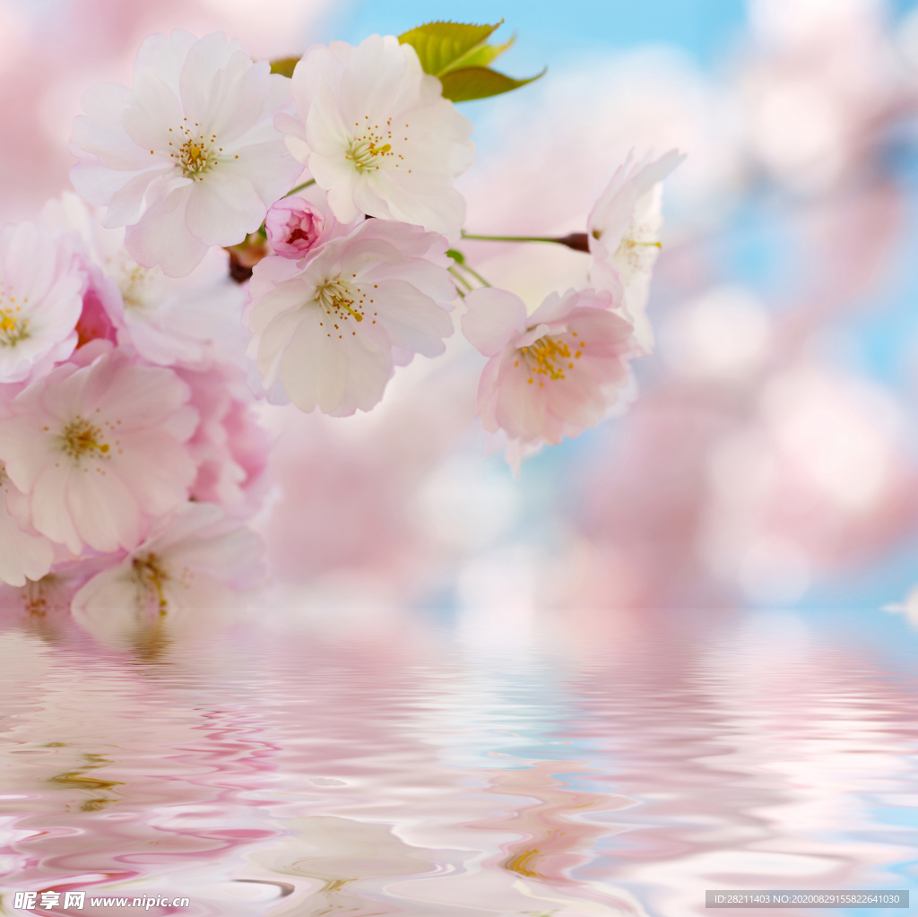梅花水纹