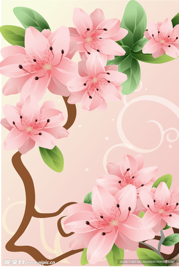 梅花粉色梅花