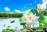 山水画风景画荷叶荷花