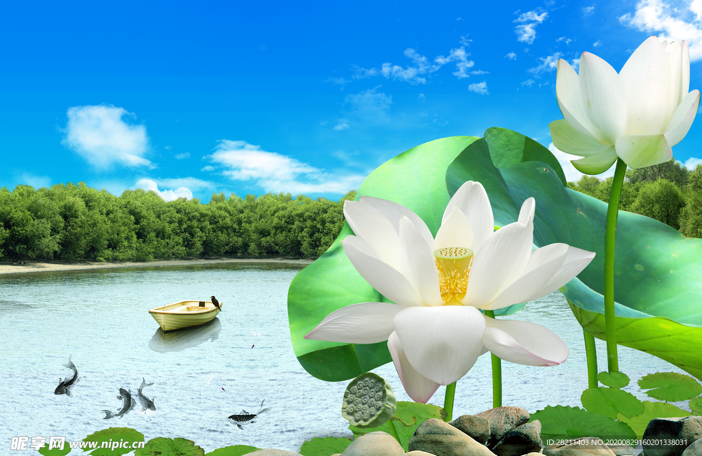 山水画风景画荷叶荷花