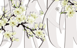 纹理条纹玉兰花梅花