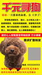 寻狗启事
