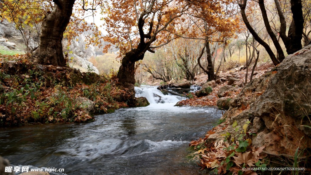 自然风景