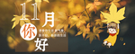 十一月你好