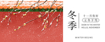 十一月你好