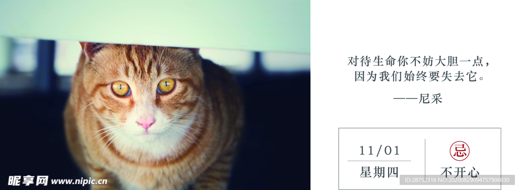 十一月你好