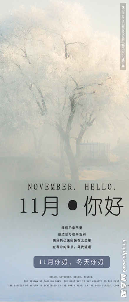十一月你好