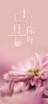 十一月你好