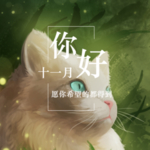 十一月你好