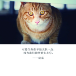 十一月你好