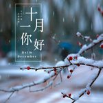 十一月你好