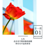 十一月你好
