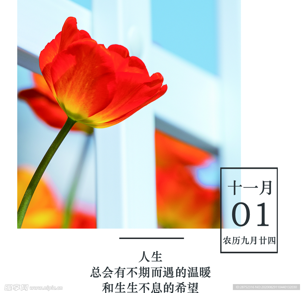 十一月你好