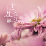 十一月你好