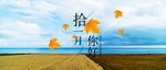 十一月你好