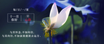 十一月你好