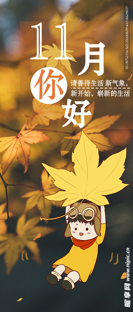 十一月你好