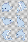 蓝色海豚