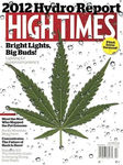 大牌 花纹 数码 印花 欧式