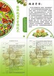 猕猴桃管理技术宣传册