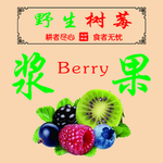 树莓  覆盆子