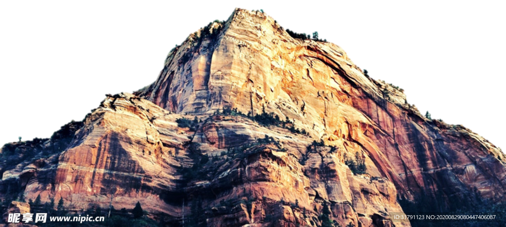 山