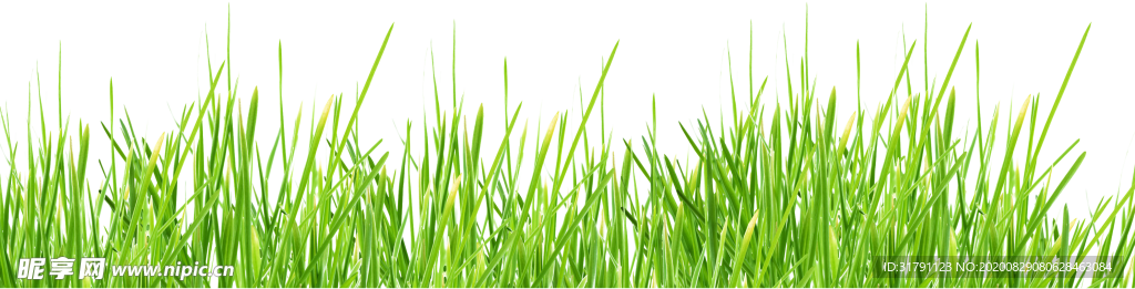 草丛