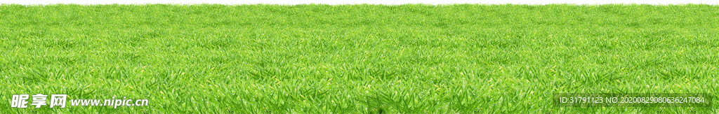 草地