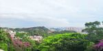 山顶