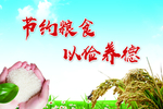 节约粮食