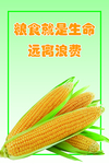 节约粮食