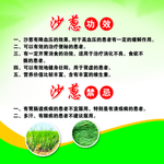 沙葱广告