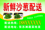 沙葱广告