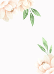 花边 底图