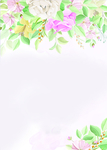 花边 边框