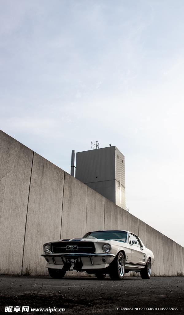 汽车