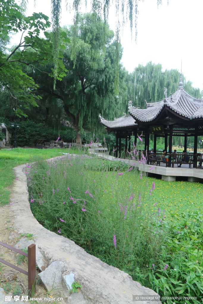 园林风景