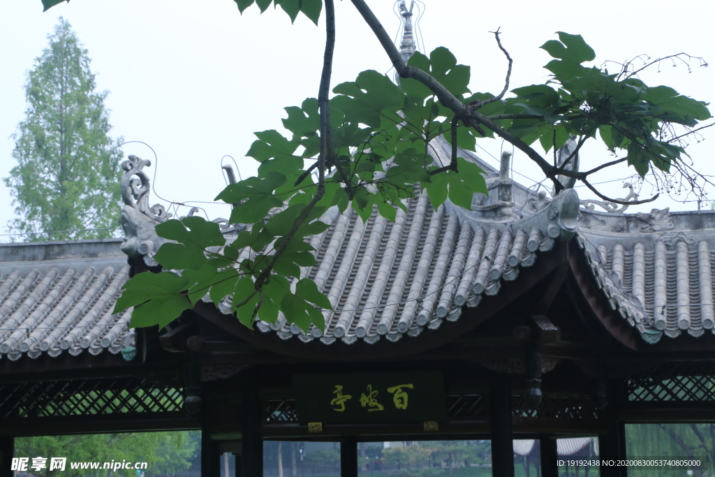 园林风景