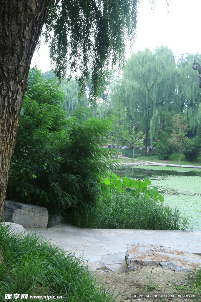 园林风景