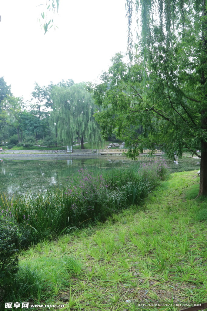 园林风景