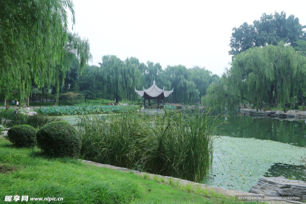 园林风景