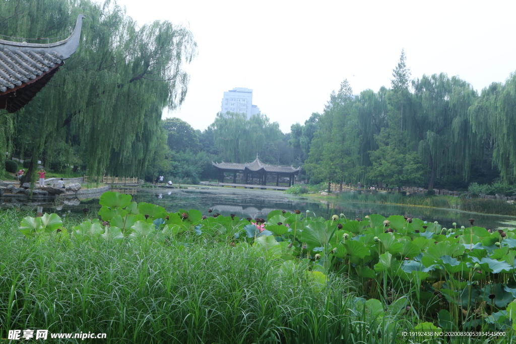园林风景