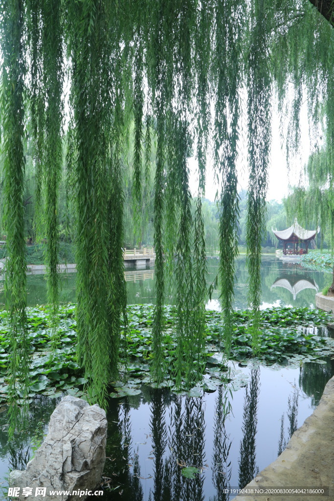 园林风景