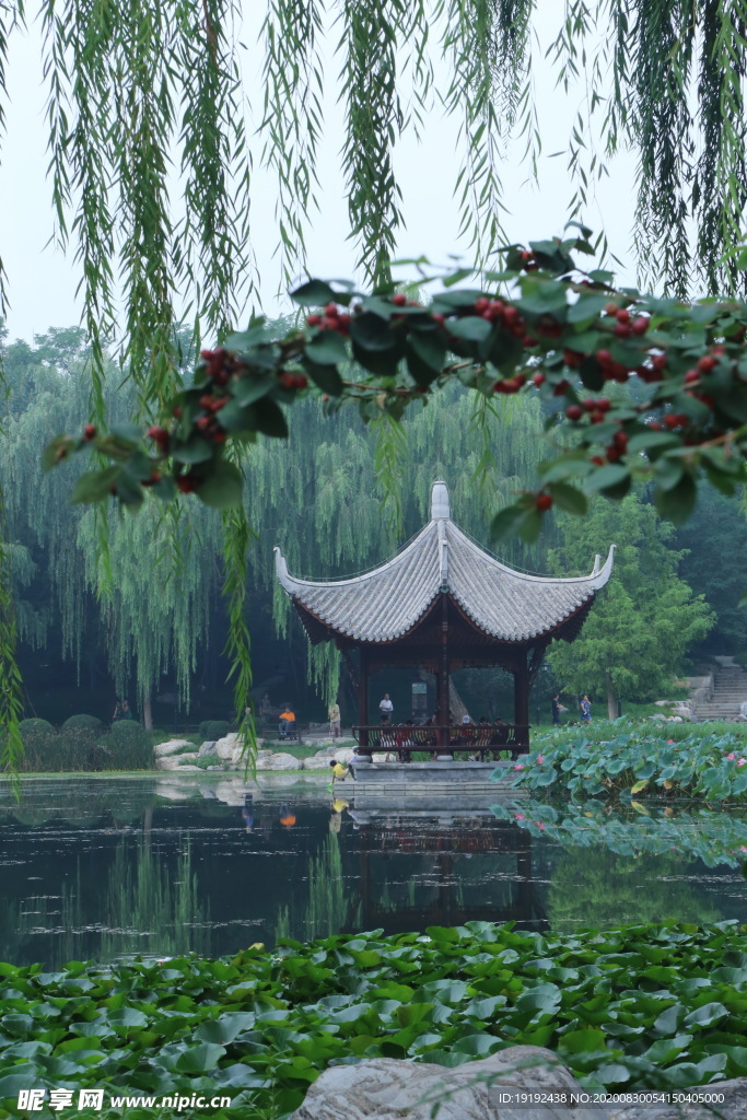 园林风景