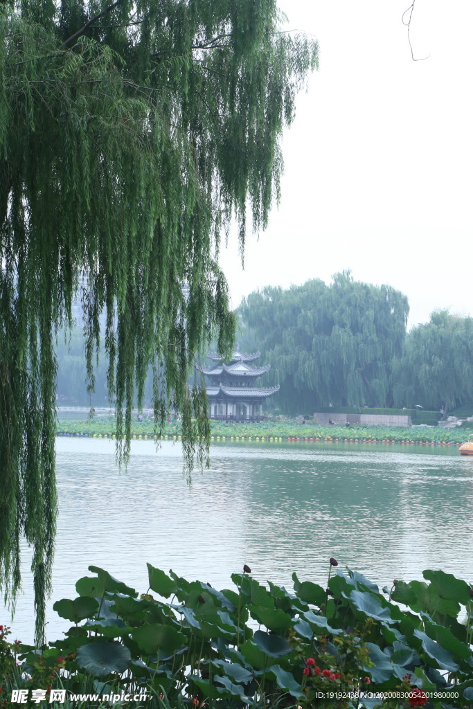 园林风景