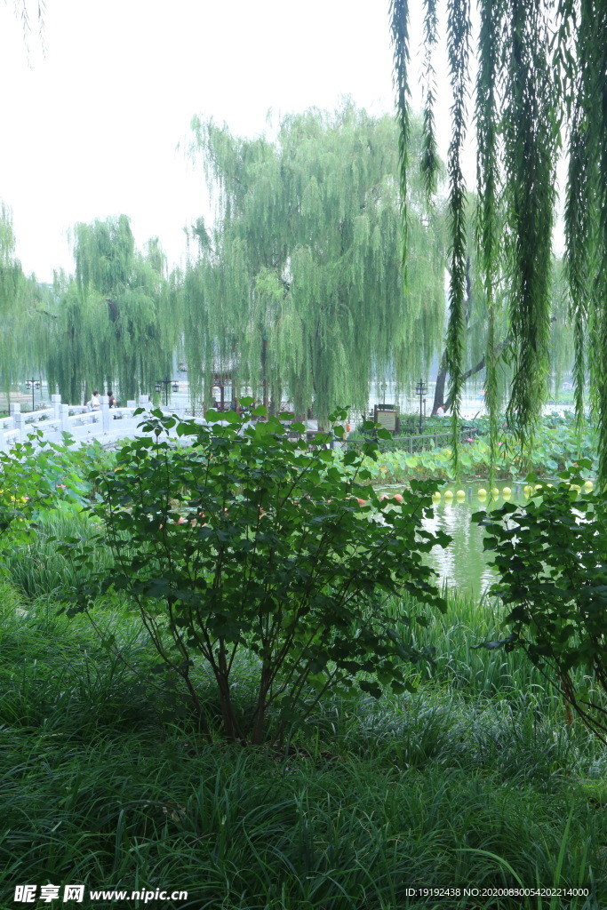 园林风景