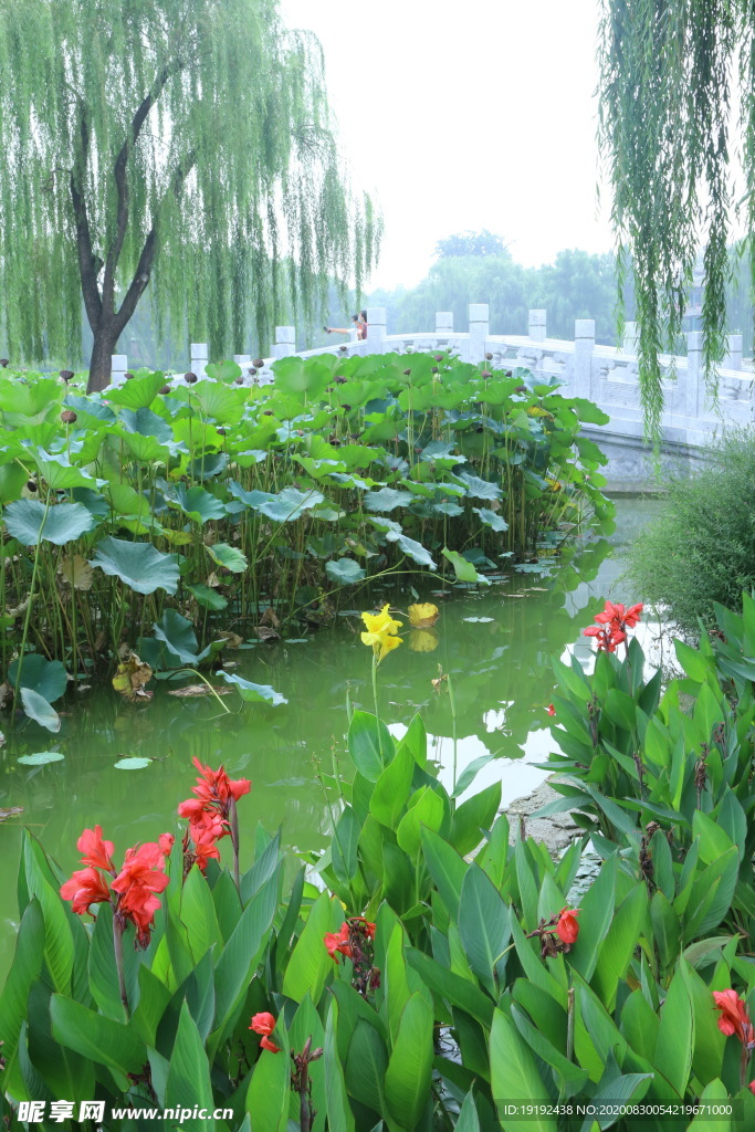 园林风景