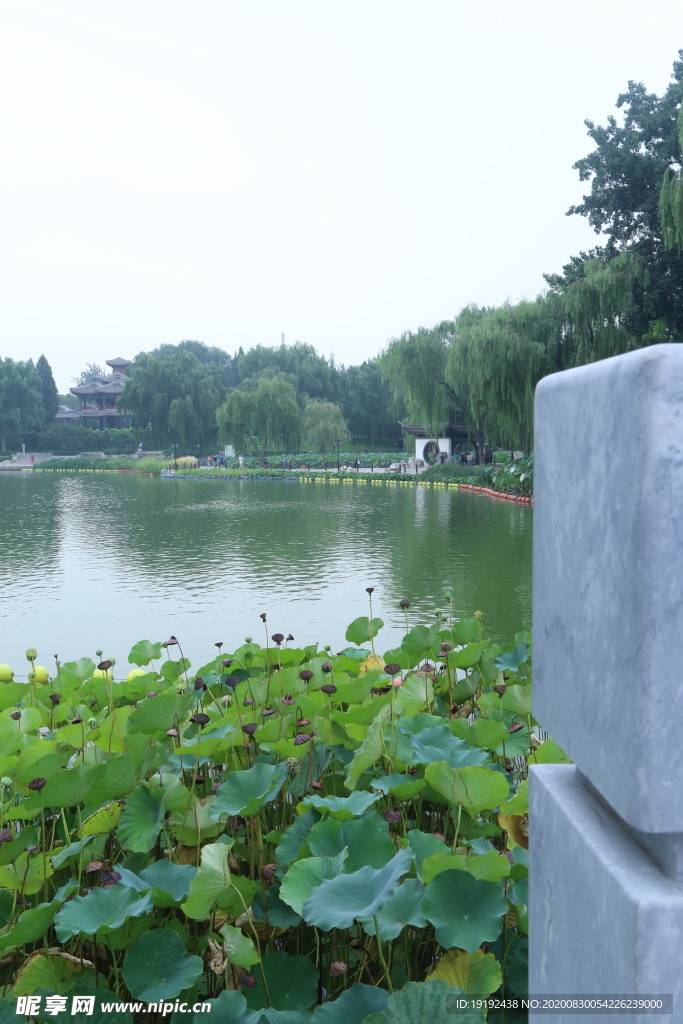 园林风景