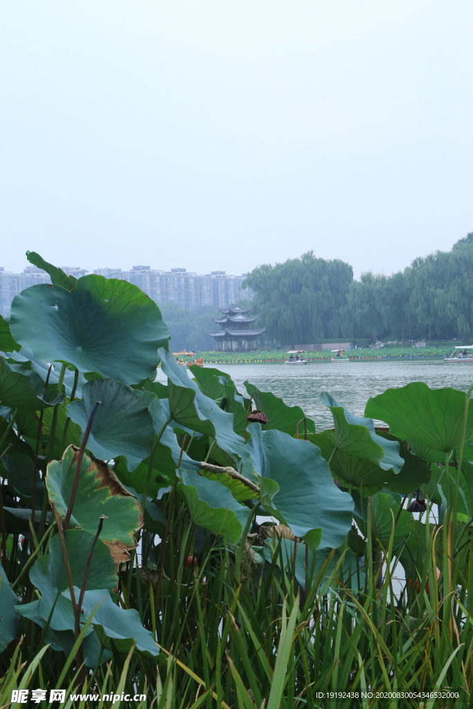 园林风景